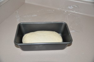 Basic White Bread Before Second Rising
