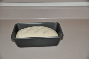 Basic White Bread After Second Rising