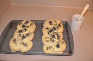 Challah After Second Rising