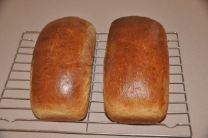 Whole-Wheat Bread Made with Hard-Wheat Flour