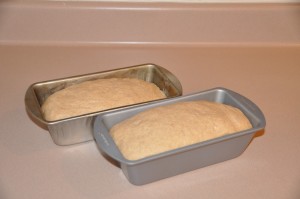 Cinnamon Bread After Second Rising