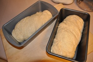 Carl Gohs' Bread After Second Rising