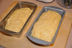 Brioche Bread Before Baking