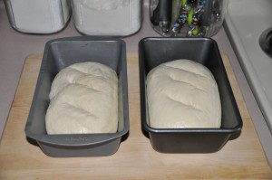 Basic Home-Style Bread After Second Rising