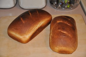 Basic Home-Style Bread