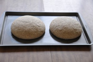 Finnish Sour Rye Bread After Second Rising