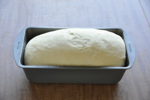 Buttermilk White Bread After Second Rising