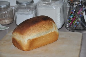 Buttermilk White Bread