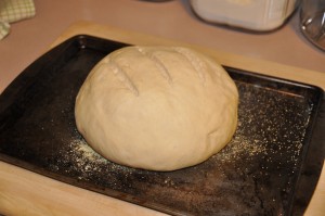 Broiled White Free-Form Loaf After Third Rising