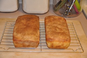 English Muffin Bread