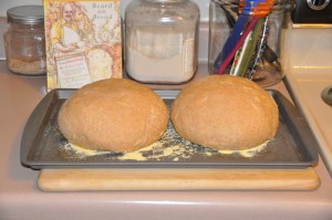 Whole-Meal Bread After Second Rising