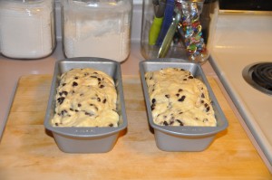 Currant Bread After Second Rising