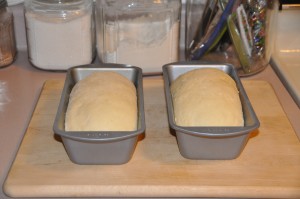 Cheese Bread After Second Rising