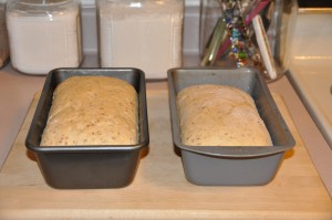 Cracked-Wheat Bread After Second Rising