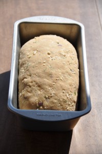 Dill-Seed Bread Afer Rising