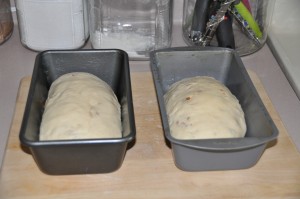 Raisin and Nut Bread After Second Rising