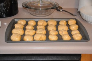 Sweet Potato Rolls After Second Rising