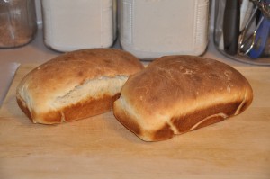 Sour-Cream Bread