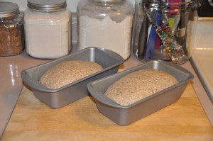 Rye Bread After Second Rising