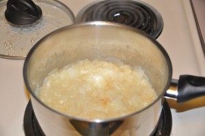 Pissaladiere Onion Puree