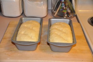 Water-Proofed Bread After Second Rising