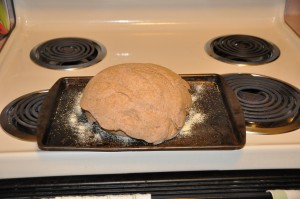 Norwegian Whole-Wheat Bread After Second Rising