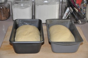 Refrigerator Potato Bread After Second Rising