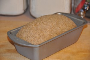 Pumpernickel Bread II After Second Rising