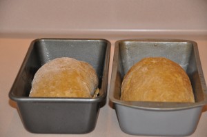 Maryetta's Oatmeal Bread After Second Rising