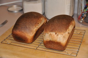 Whole-Wheat Nut Bread