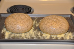 Sourdough Rye After Second Rising