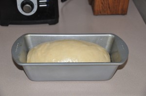 Mother's Raisin Bread After Second Rising