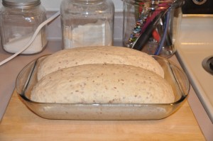 Mrs. Elizabeth Ovenstad's Bread After Second Rising
