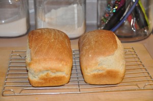 Salt-Rising Bread